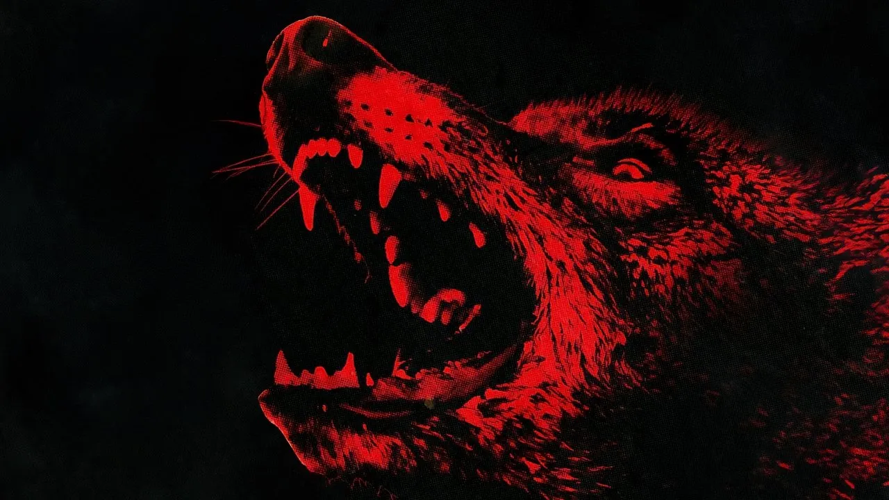 Coyotes