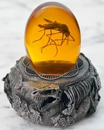 Prehistoric World Fossil Replica